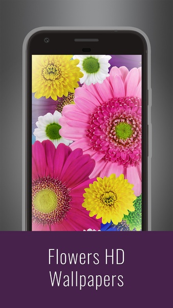 Flowers HD Wallpapers - Preview 16