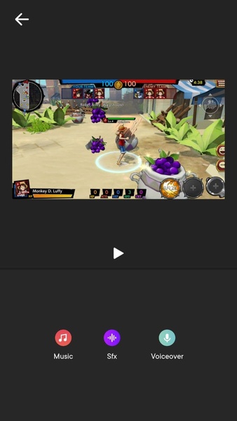 MontagePro - Preview 8
