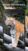 Tiger 3d Live Wallpaper screenshot 4
