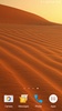 Sahara Desert Live Wallpaper screenshot 9