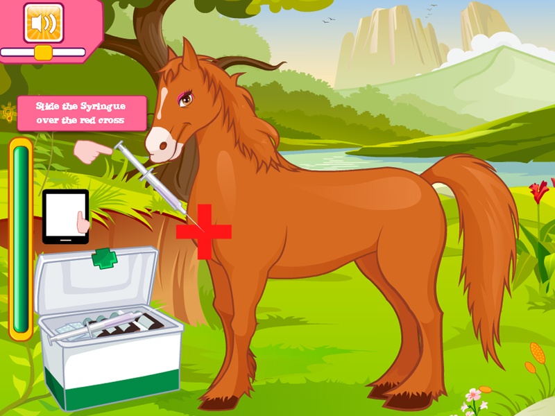 Horse Grooming Salon - Preview 5