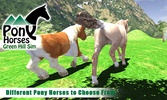 Pony Horses Green Hill Sim screenshot 11