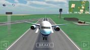 Flight Sim screenshot 2