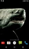 Shark 4K Video Live Wallpaper screenshot 4