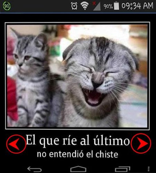 imagenes de todo - Preview 2