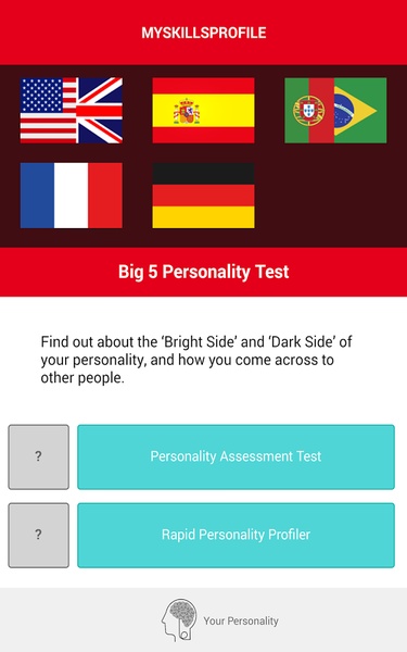 Big 5 Personality Test - Preview 4