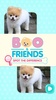 Boo and Friends: Spot Differences screenshot 8