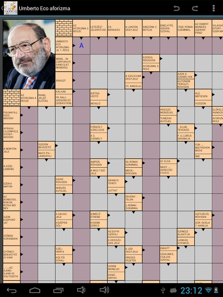 Real crossword - Preview 14