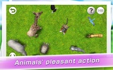 REAL ANIMALS HD screenshot 13