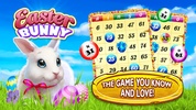 Easter Bunny Bingo screenshot 8