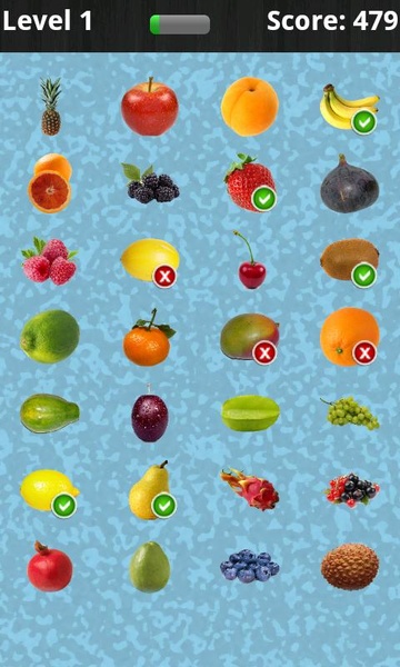 Fruity & Co Quiz - Preview 4