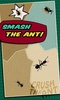 Crush the Ant screenshot 3