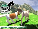 Pony Horses Green Hill Sim screenshot 7