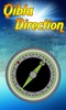 Qibla GPS: Qibla direction with GPS screenshot 5