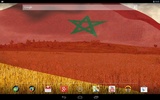 Morocco Flag screenshot 1