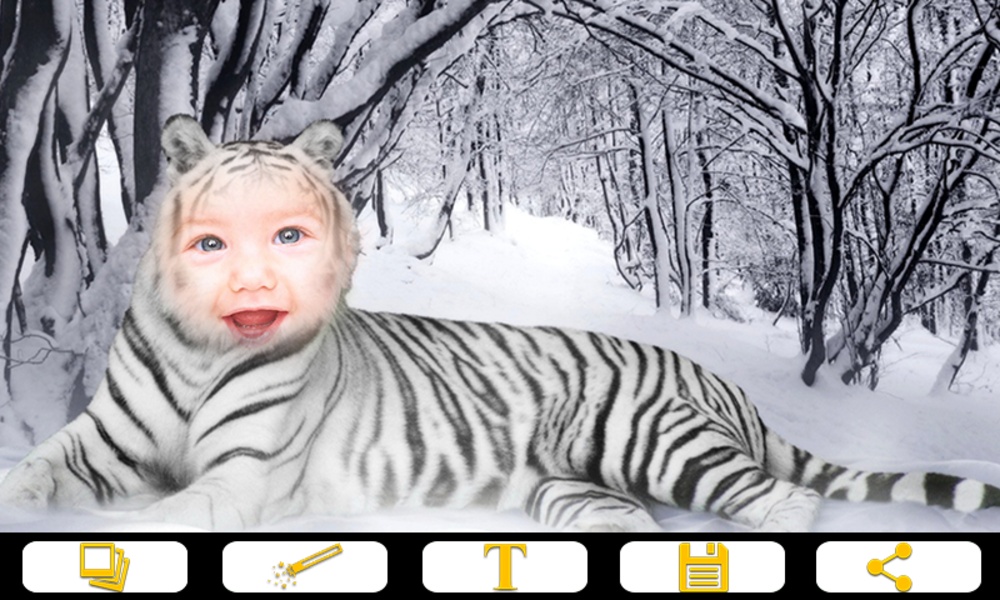 Tiger Photo Frames - Preview 3