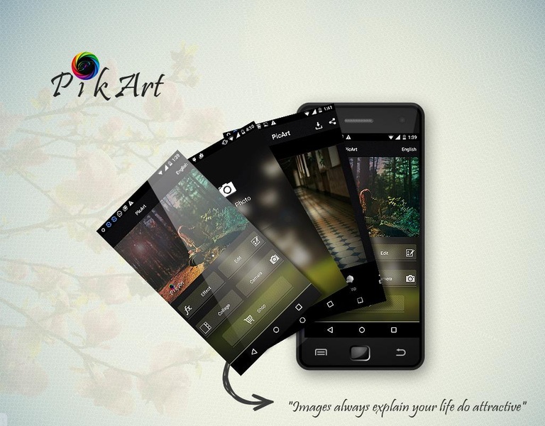 PicArt - Preview 5