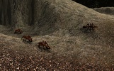 Ant Simulation screenshot 1
