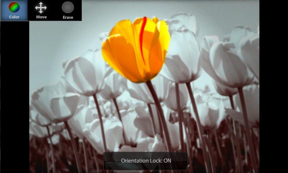 ColorUp Pro - Preview 3