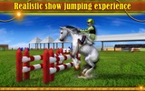 Horse Show Jump 3D screenshot 9
