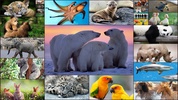 Animal Jigsaw Puzzle Game Kids screenshot 10