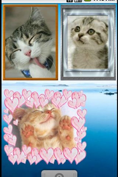 Various Photo Widget - Preview 1