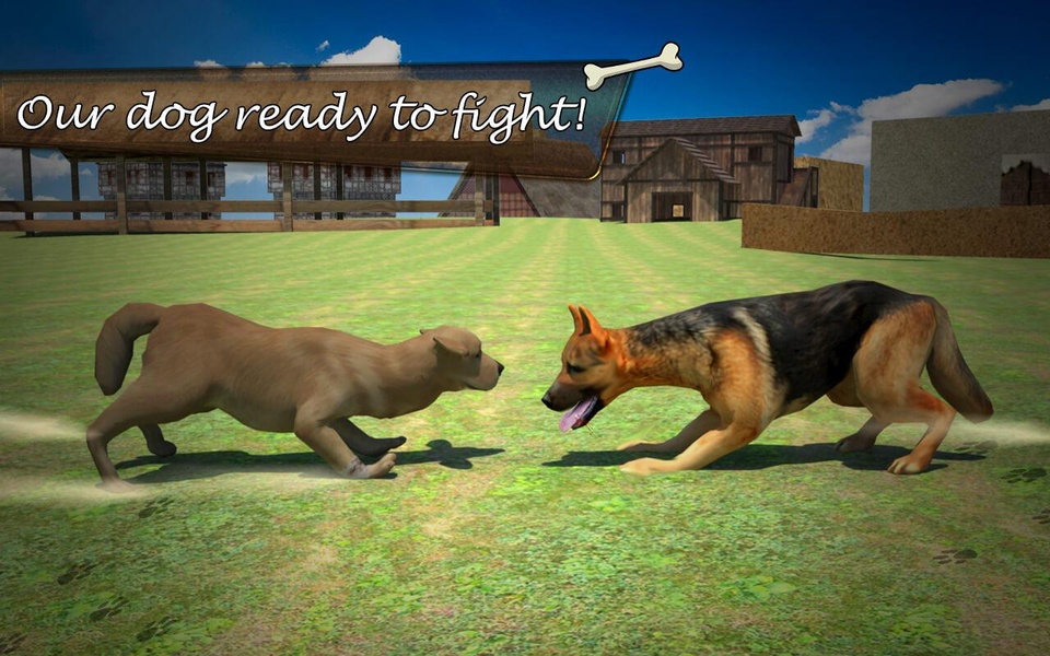 Farm Dog Fight - Preview 10