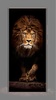 lion wallpaper screenshot 7