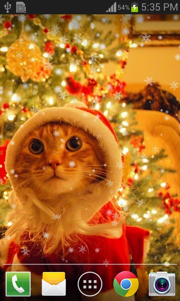 Christmas Cat live wallpaper - Preview 6