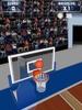 Real Basketball Star 3D screenshot 3