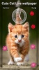Cute Animated Cat Wallpapers screenshot 1