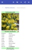 Ornamental trees screenshot 8