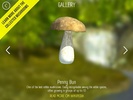 Real Mushroom Hunting Simulator 3D screenshot 1
