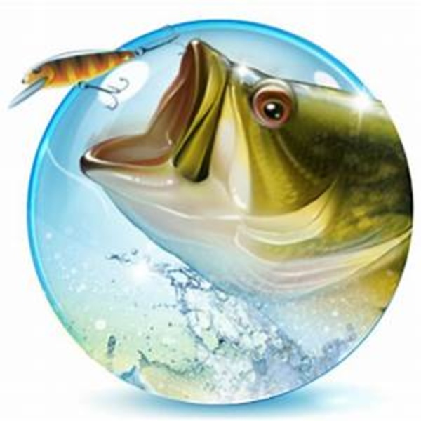 fishing x - Preview 1