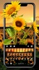 Sunflower Fields Theme screenshot 5