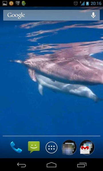 Dolphins 3D - Preview 2