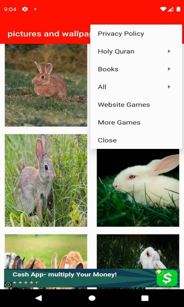 pictures and wallpapers of the rabbit 4k - Preview 8