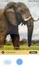 Picture Animal - Animal ID Pro screenshot 8
