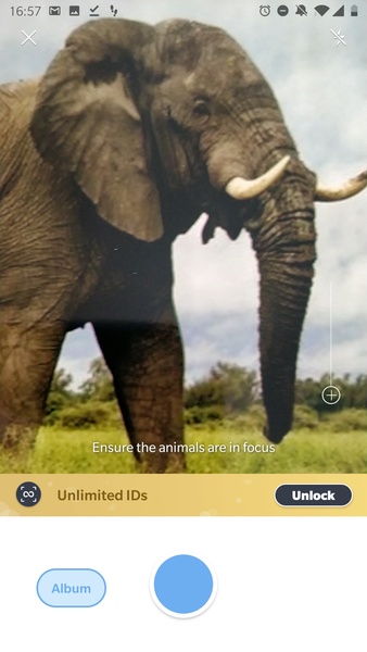 Picture Animal - Animal ID Pro - Preview 8