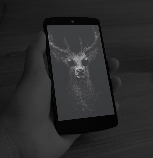 wxllpaper - Preview 2