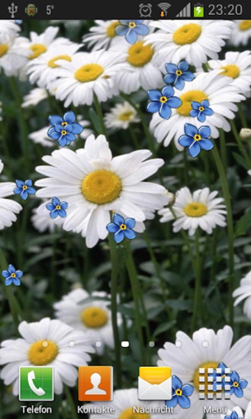 Camomiles wallpaper HD - Preview 6