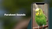 Parakeet Sounds screenshot 5