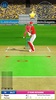 Cricket Megastar 2 screenshot 3