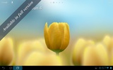 3D Tulip Free screenshot 4