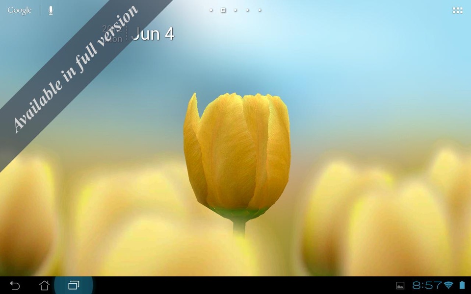 3D Tulip Free - Preview 4