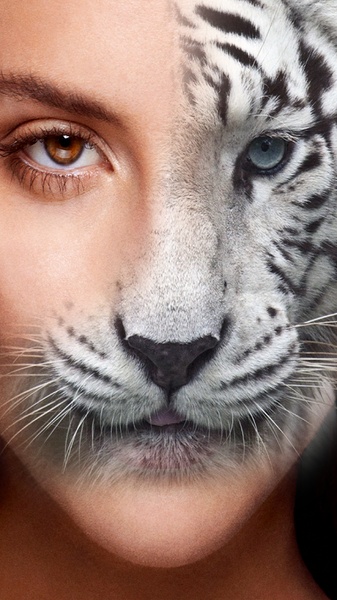 Animal Face Changer - Preview 1