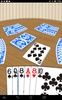 CrazyEights screenshot 10