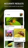 Insect identifier by Photo Cam screenshot 11