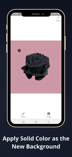 Batch BG Remover - Preview 2