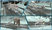Wild Snow Leopard Simulator 3D screenshot 2